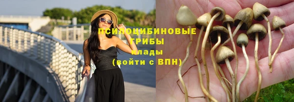 кокаин Алексин