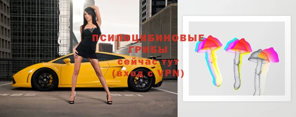 а пвп мука Абаза