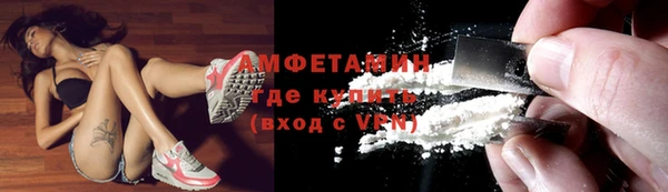 крисы Новозыбков