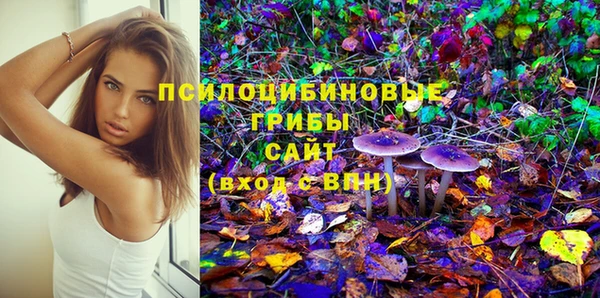 стаф Абдулино