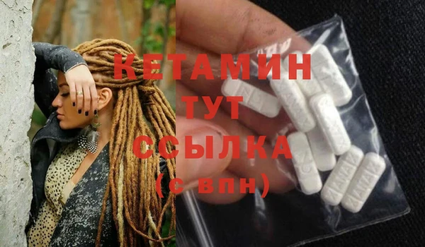 шишки Новодвинск